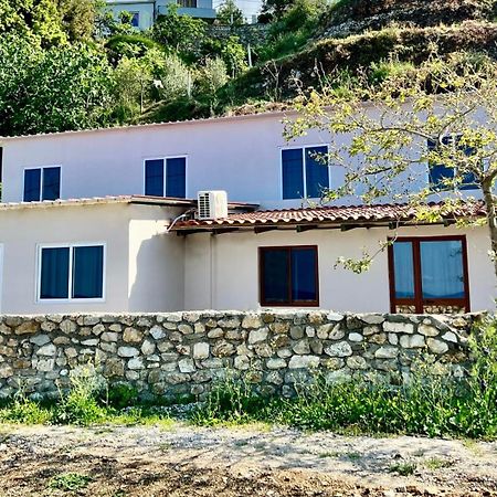 Villa Kate Borsh Zewnętrze zdjęcie