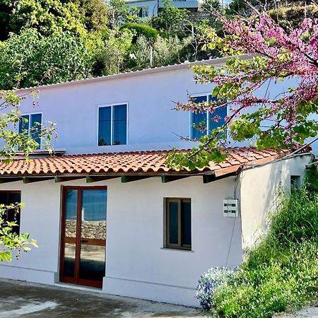 Villa Kate Borsh Zewnętrze zdjęcie